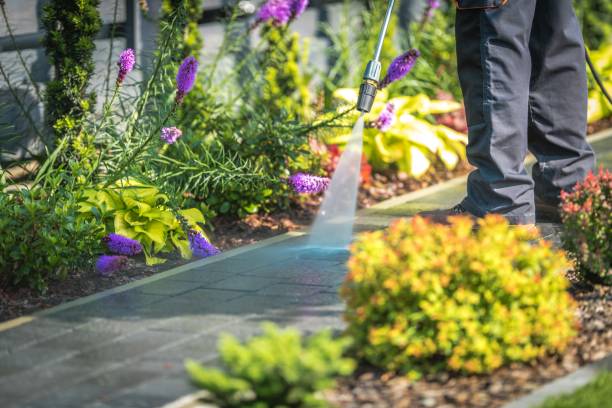 Best Pre-Holiday Cleaning  in Collingdale, PA